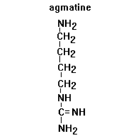 Агматин купить недорого. Продажа Agmatine.