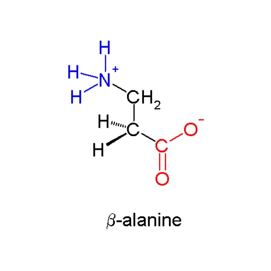 куплю бета-аланин, цена Beta-Alanine