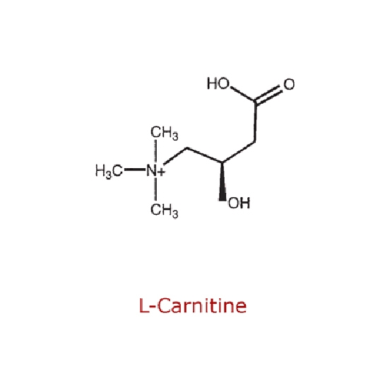 Л-Карнитин (L-Carnitine)